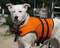 Randall in his life vest